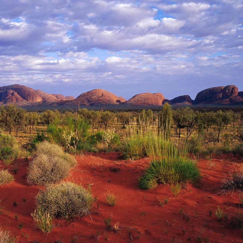 I’ve Been Visiting This Remote Region In Northern Australia For More Than 2 Decades Now