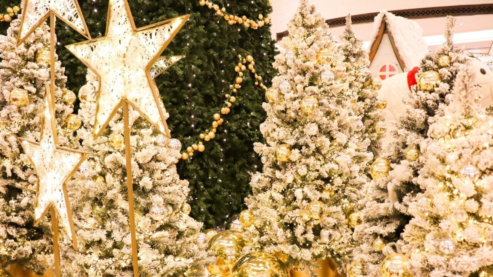 The Most Expensive Christmas Trees Around The World