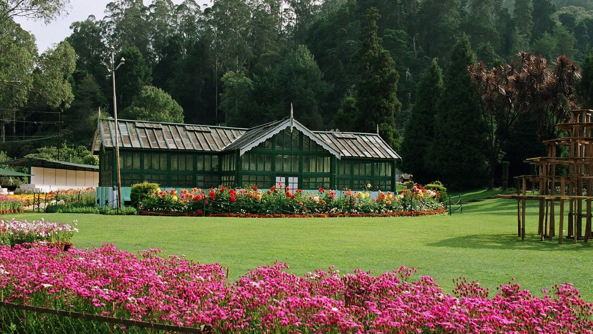 Best Places To Visit In Ooty: Your Guide To Explore The Queen Of Hills