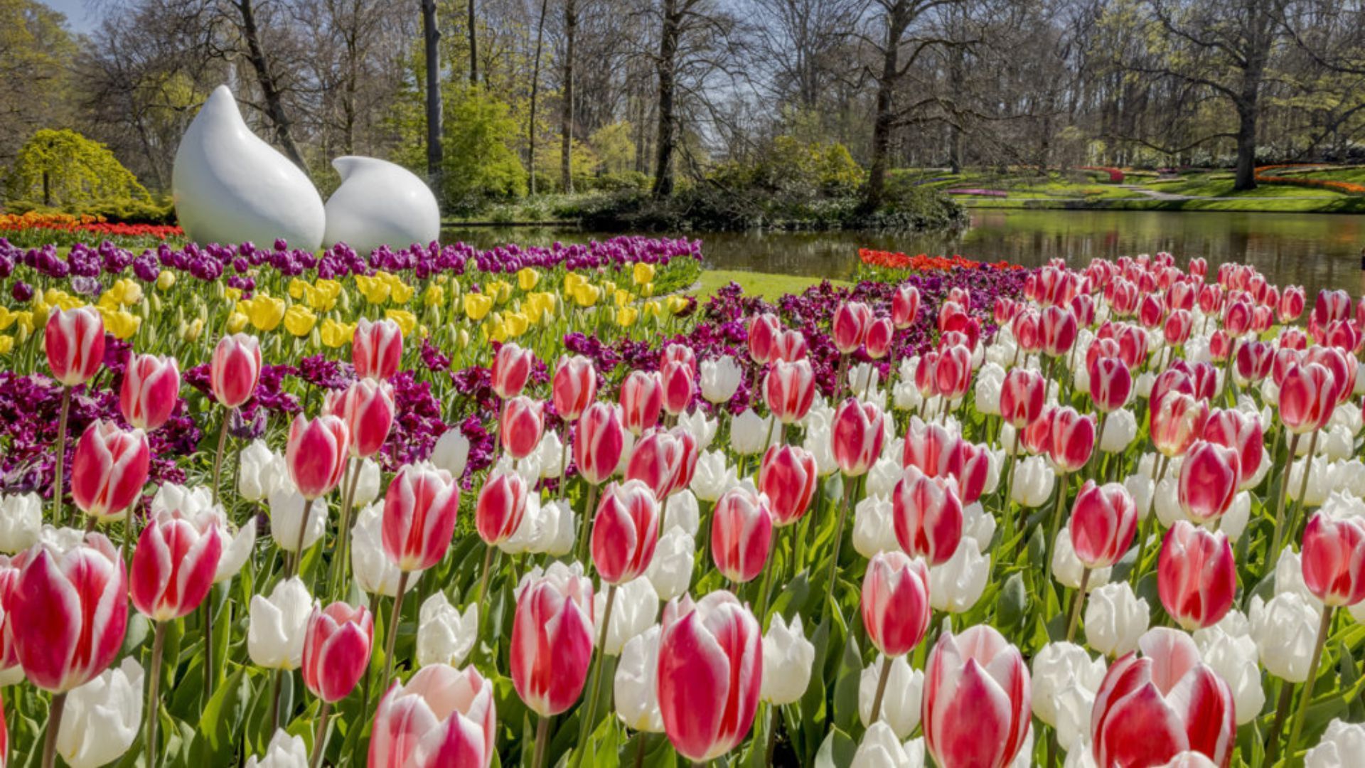 Add The Netherlands' Keukenhof Tulip Gardens To Your Spring Bucket List