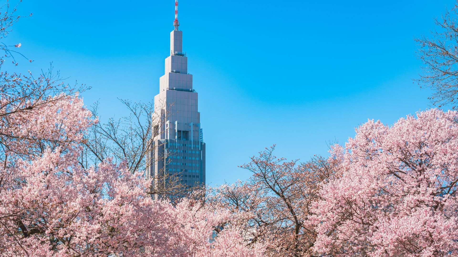 Shinjuku Gyoen