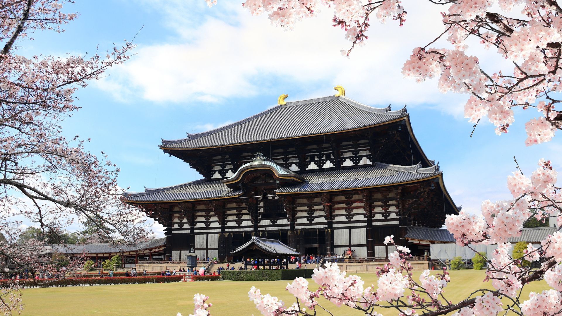 Japan Itinerary