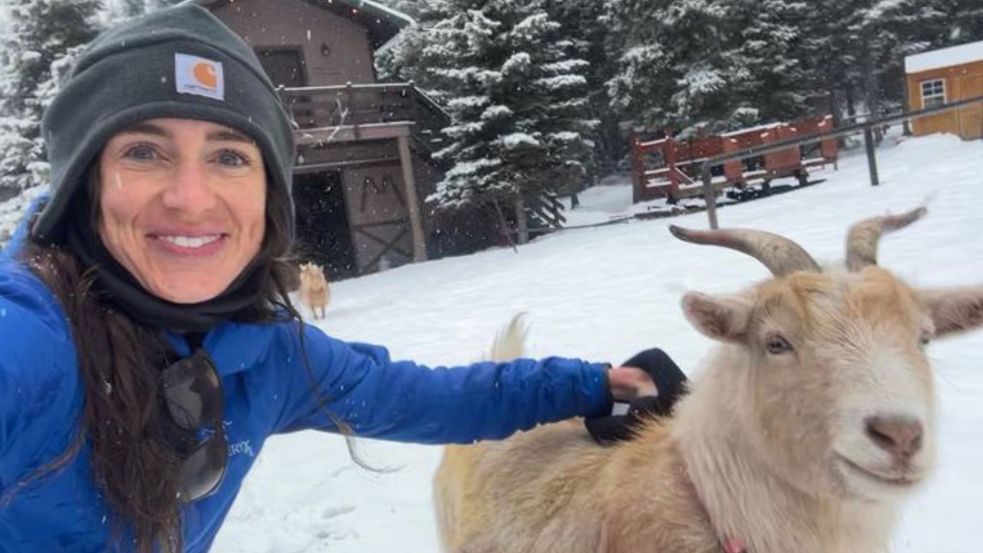 孤山牧场的作者 