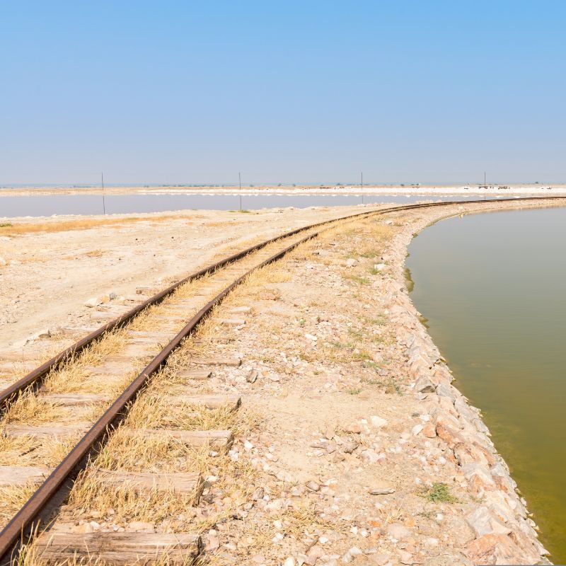 Savouring The Many-Hued Splendours Of Sambhar, India's Largest Inland Salt Lake