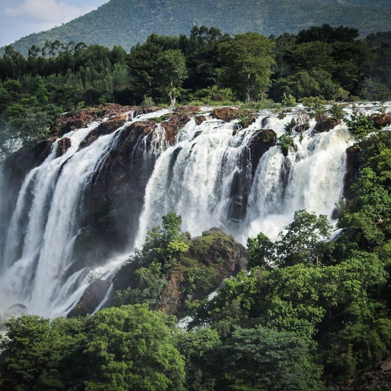 Nandi Hills To Yelagiri: The Most Stunning Short Drive Destinations From India's Bangalore