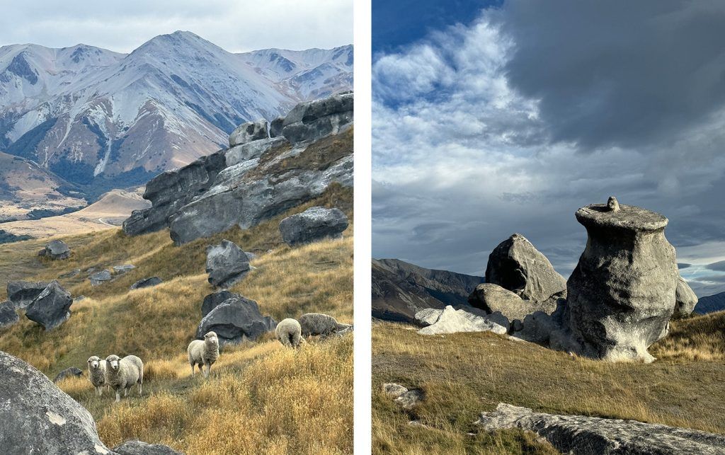 Curious sheep at Flockhill Lodge (left); this striking monolith near Flockhill was used by ancient Māori as a calendar stone (right).  Photos by Chris Dwyer 