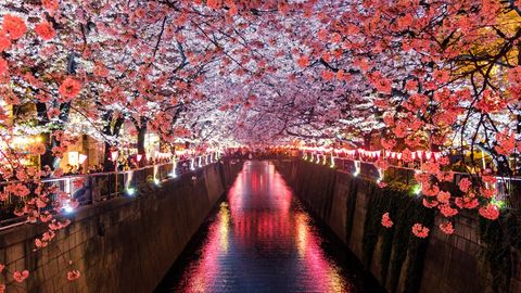 马来西亚成为日本签证授权名单上 71 个国家之一