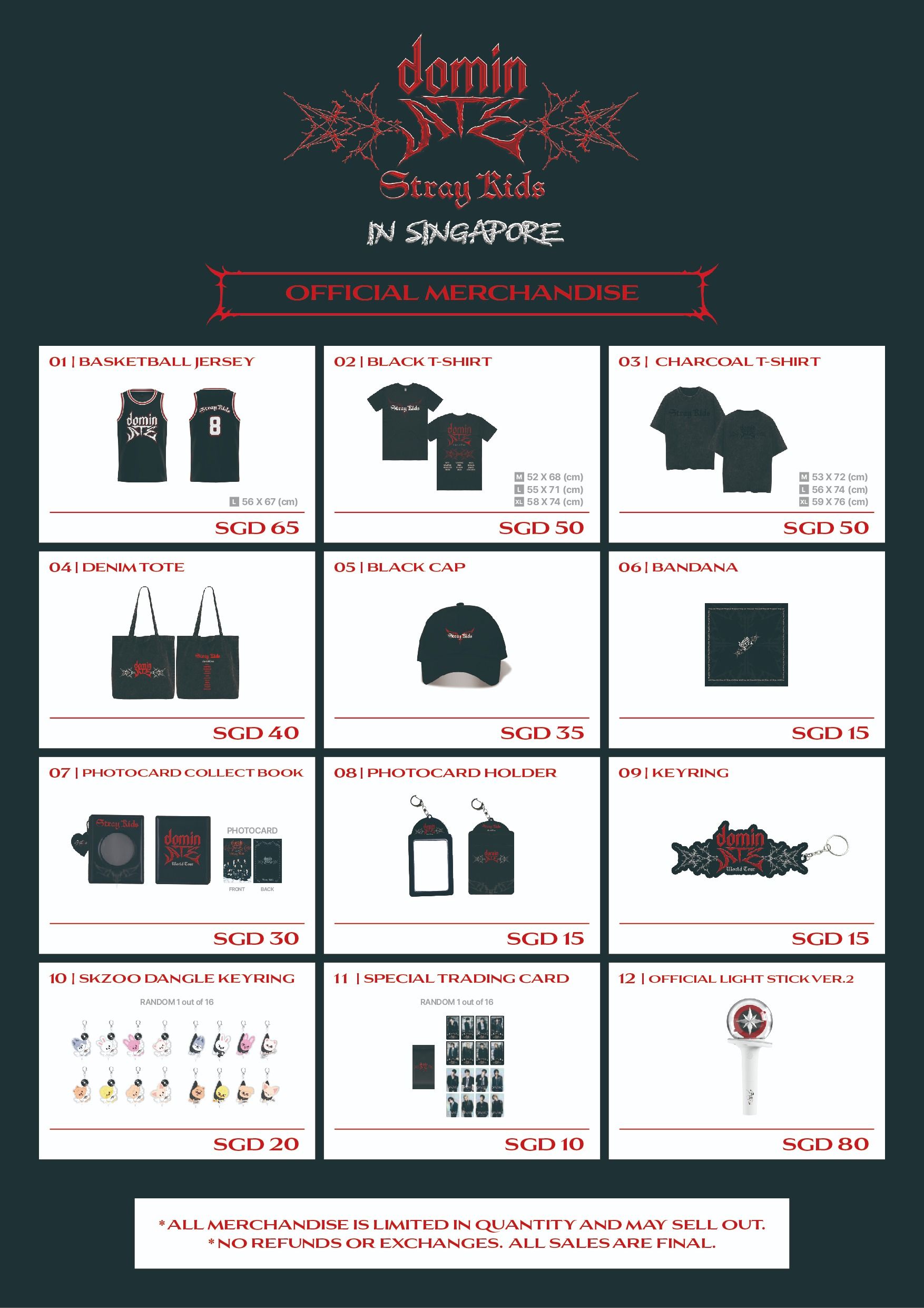 Stray Kids dominATE World Tour 2024 Singapore Concert Survival Guide