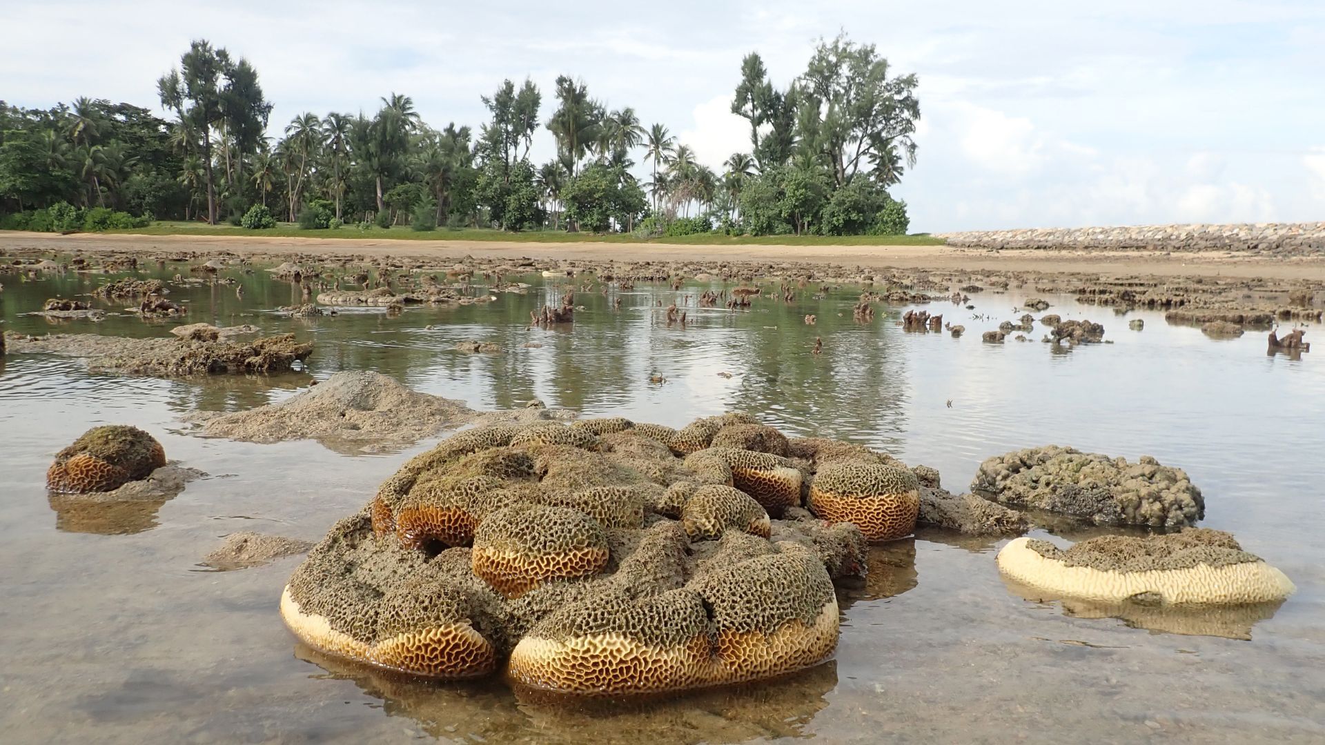 Pulau Hantu Island: Uncover The Secrets Of Singapore’s Haunted Islets