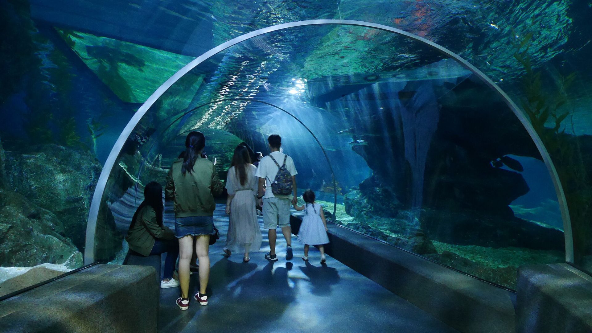 aquariums in thailand