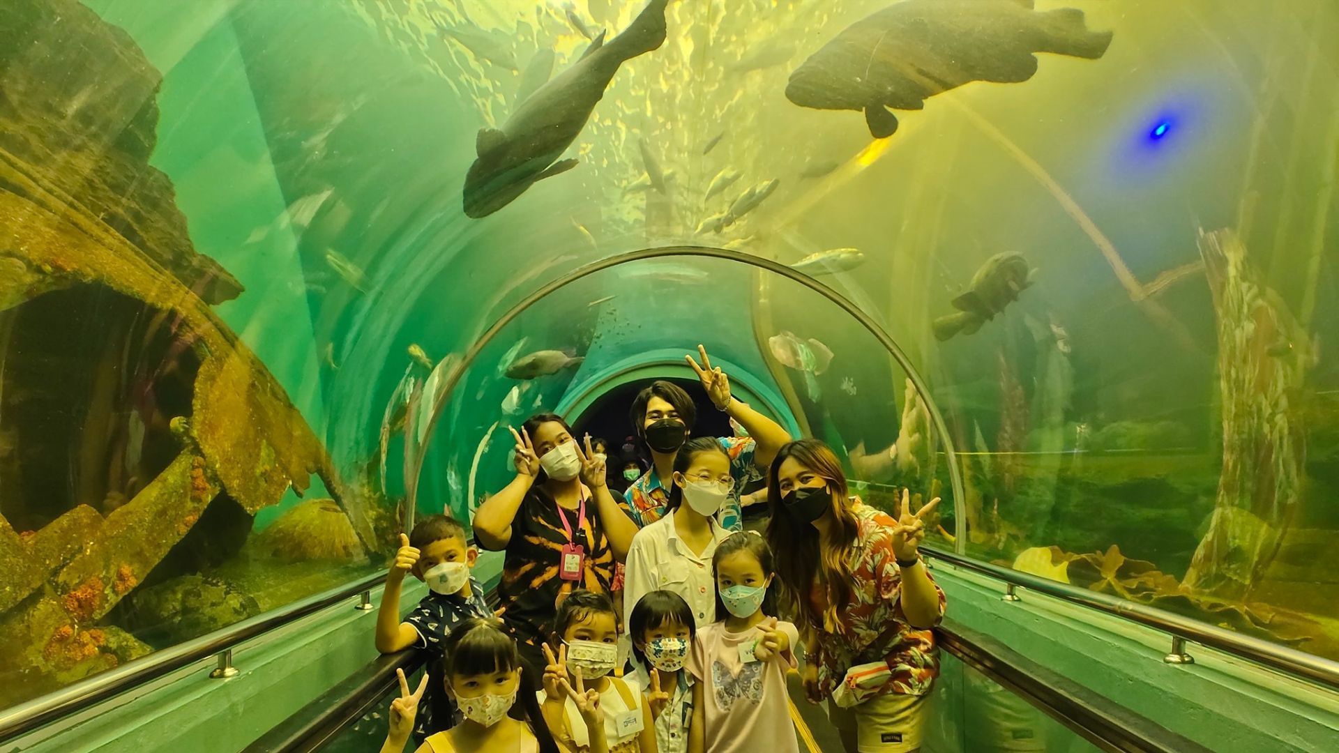 aquariums in thailand