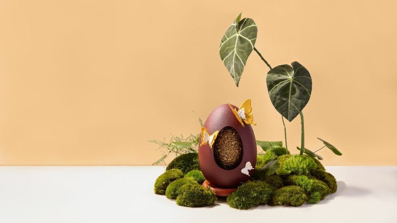 Butterfly Patisserie