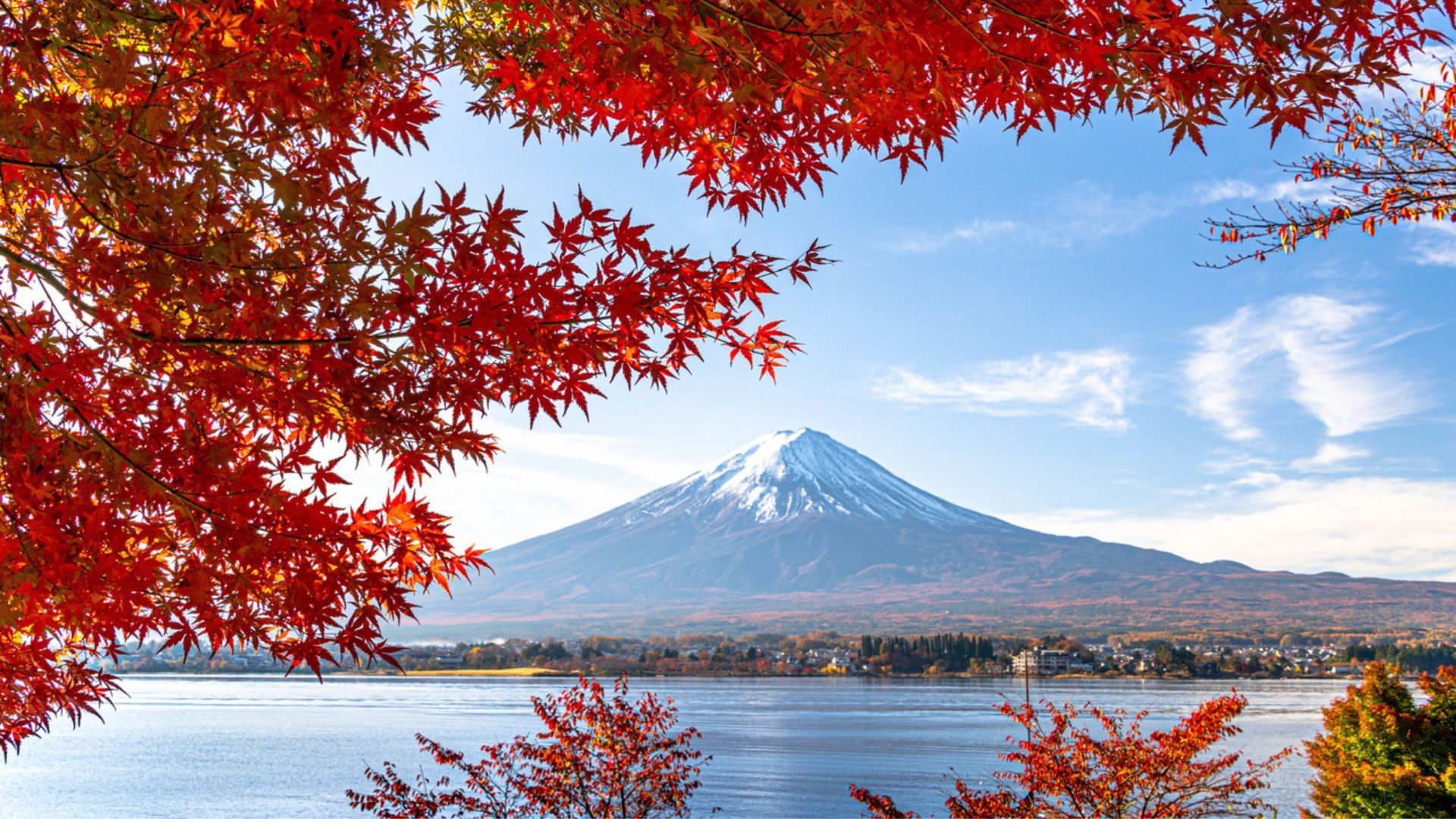 Lake Kawaguchi, Yamanashi