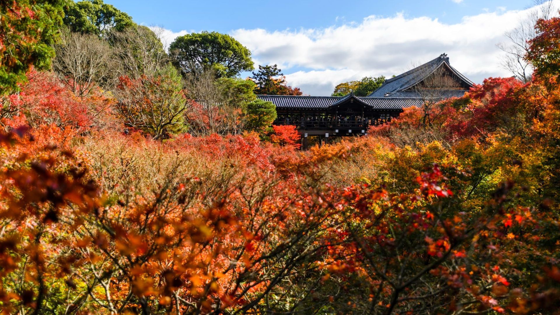 Tōfuku-ji Temple, Kyoto