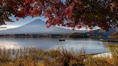 These Are The Best Places To See Fall Foliage In Japan