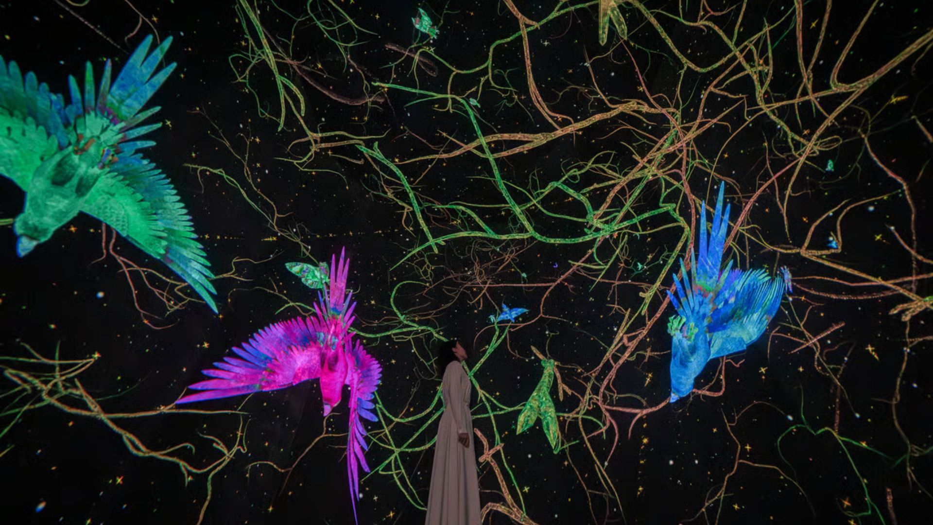 Which TeamLab Should You Visit in Japan — Tokyo, Osaka, or Kyoto?